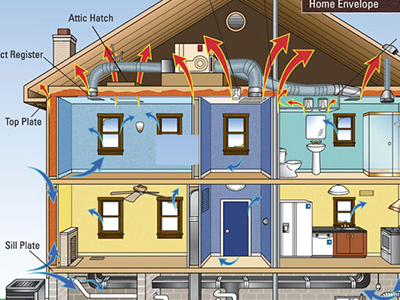 Cut away of house